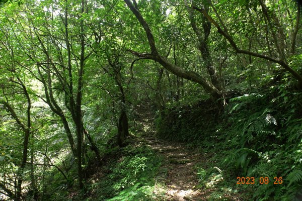 基隆 頂寮山、龍門山、五分山、頂子寮山2265988