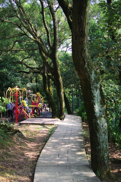 步道小旅行~仙跡岩步道漫遊3159