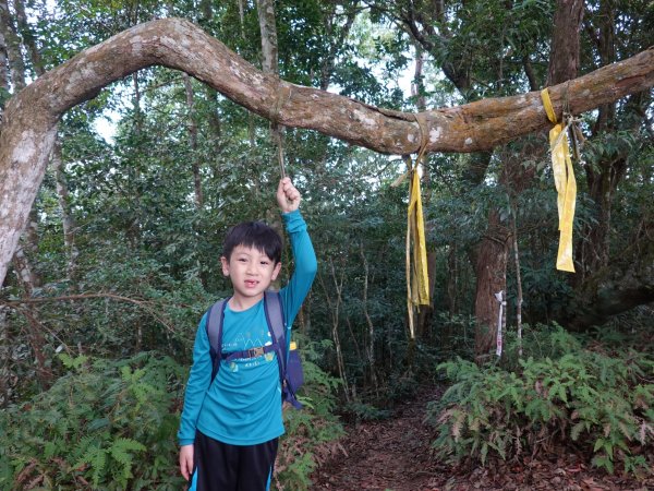 阿興阿賢三角湖山向天湖山光天高山752281