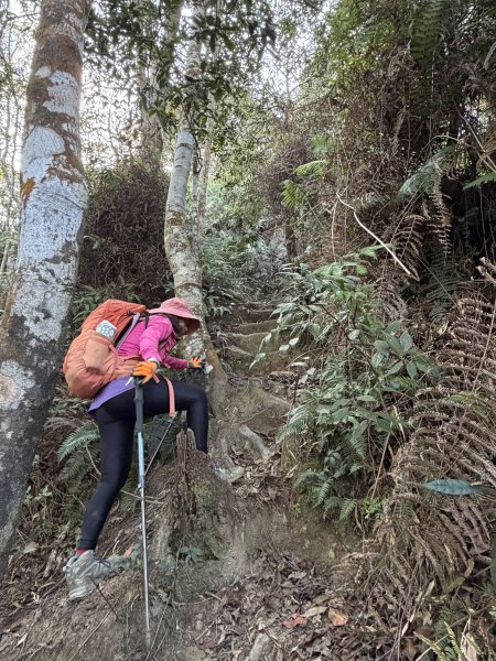谷關 白毛山-逆O繞 202603153018973