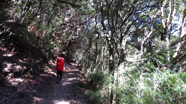 超越自我奇萊南華行24207