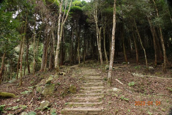 苗栗 南庄 加里山1979951