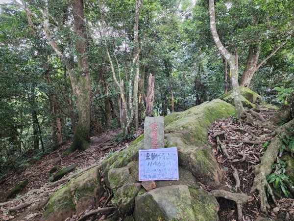 關西赤柯山、東獅頭山步道2395162