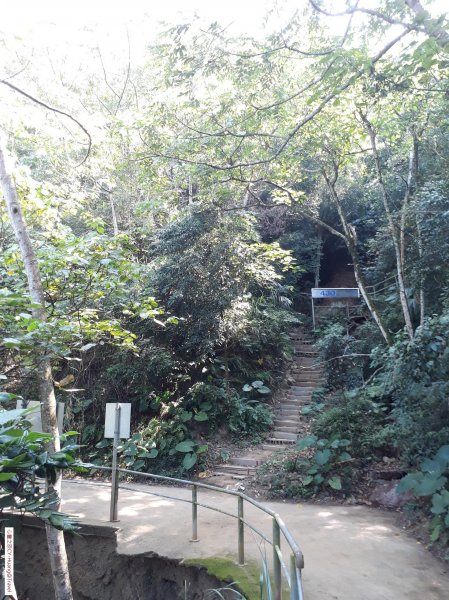 台中太平三汀山登山步道20181021439427