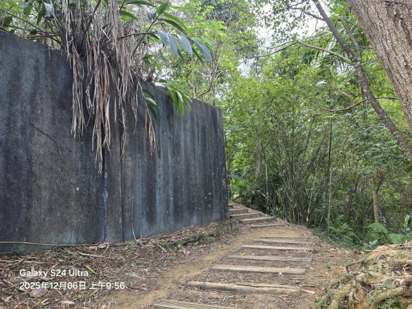 2025-12-06微笑山線：【二格山系】和美山螢火蟲段2956825