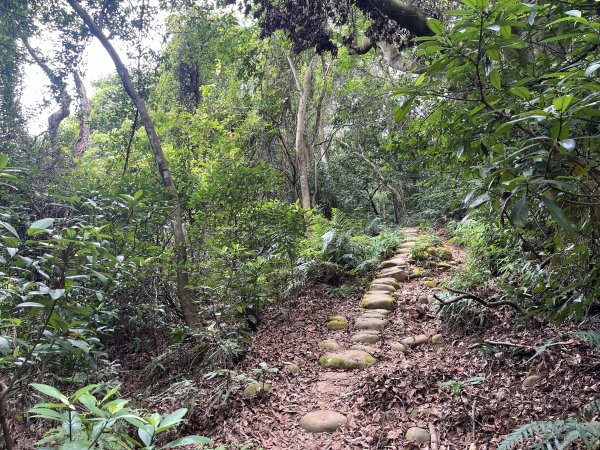 [皮皮獅探險隊-04/10] 2025_0706 三段崎古道2831767