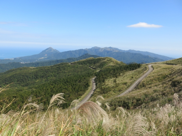 五分山賞芒趣72246