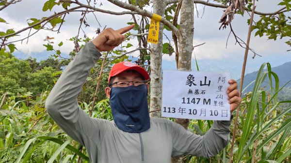 嚼嚼斯古道舊部落探勘象山六連峰二部曲(完美登頂) 阿里山下~里佳~深度探勘歷險記2618866