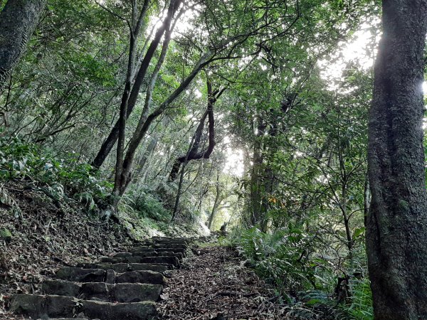 七星山系｜看盡草山百年滄桑1828191