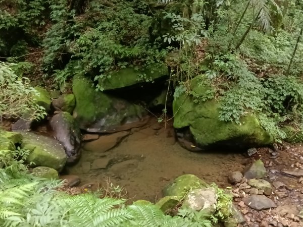 基隆市荖寮坑古道+十分古道(暖東舊道)+頂子寮山(嶺頭土地公)P字走2821578