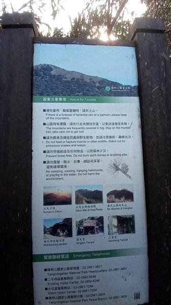 大屯山主峰步道1938092