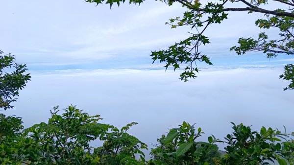 大坑頭嵙山出大景（山嵐海）2144662