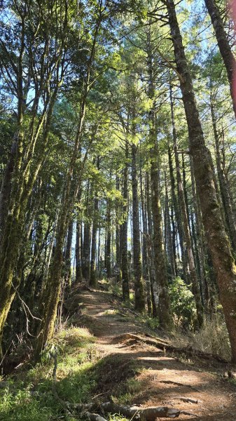 20251003-1006 南湖群峰四天6座百岳2919648