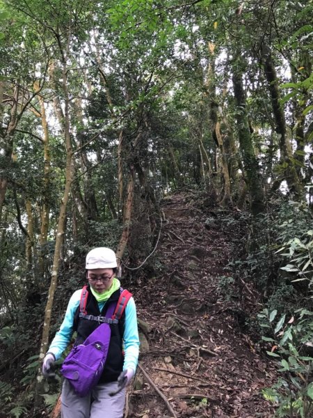 仙山.八仙古道O型走521368