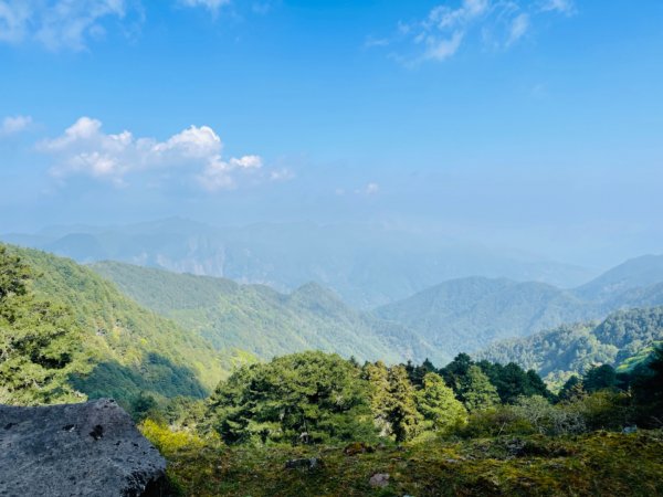 1110414塔塔加四連峰/鹿林前山-真鹿林山-鹿林山-麟趾山1675149