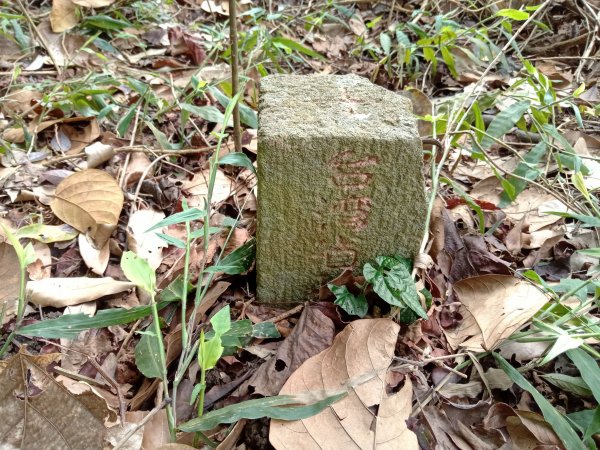 20220226台中和平尾文坑山、三叉坑山、穿龍山、大湖桶山基石1619039