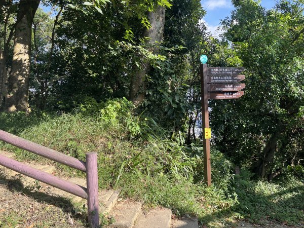 [微笑山線_第五段] 2025_0705 天上山系_五尖山2830300