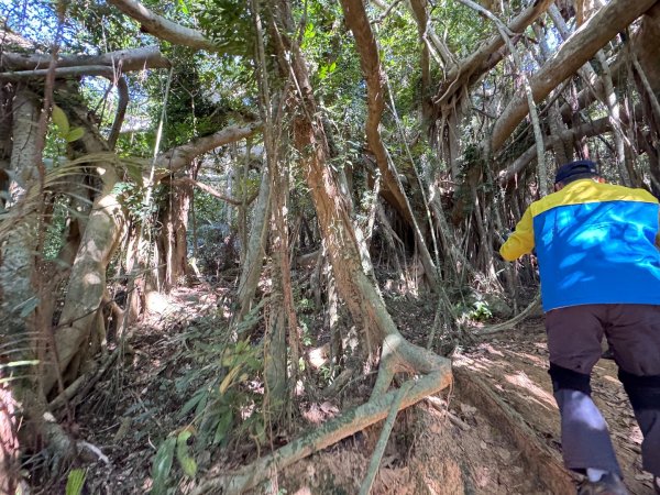 恆春大縱走:鎮南宮-赤牛嶺-大山母山(小百岳#81)-南灣出2963743