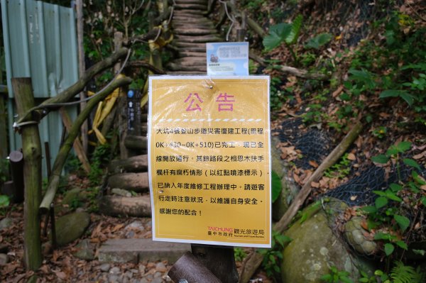 大坑四號步道_頭嵙山3079497