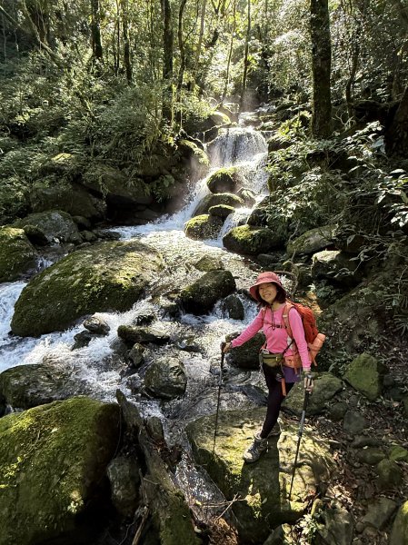 山毛櫸掉光光的 卡保逐鹿O繞 202511152937456