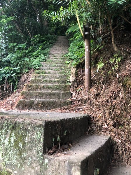 攀繩登山步道｜三峽五寮尖 06261011177