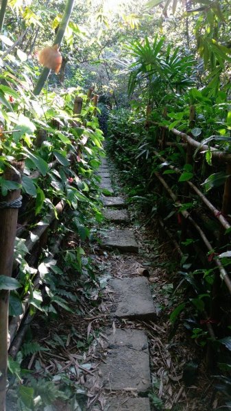 台北大縱走之劍潭山+忠義山445667