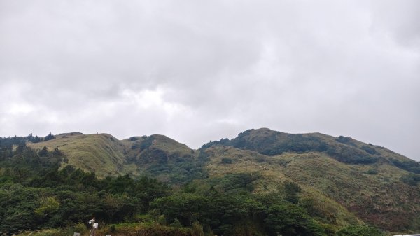 陽明山輕鬆走封面