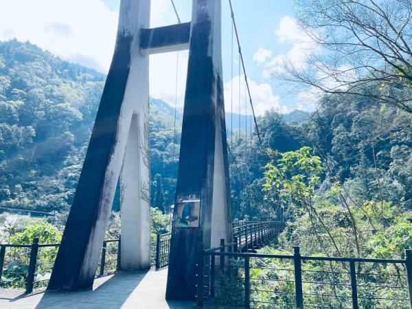 20250227 鳩之澤自然步道2736069