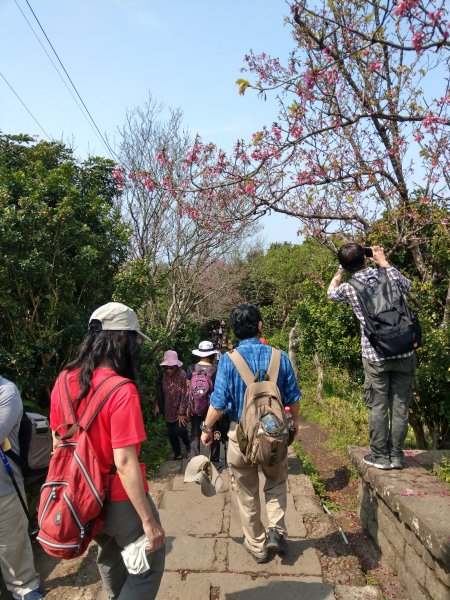 觀音山硬漢嶺876530