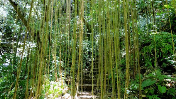 茅埔城古道2554816