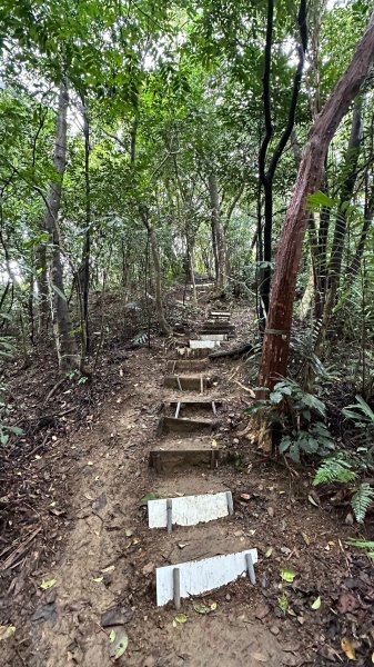 登頂領會如鳶高飛之鳶山1935692