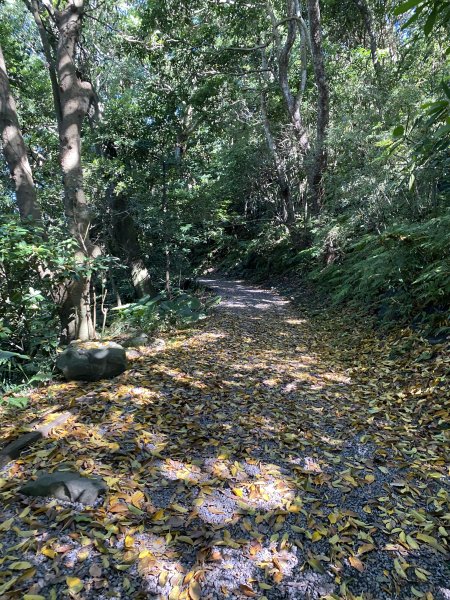 2024/09/16 天母古道（水管路） 紗帽山2884394