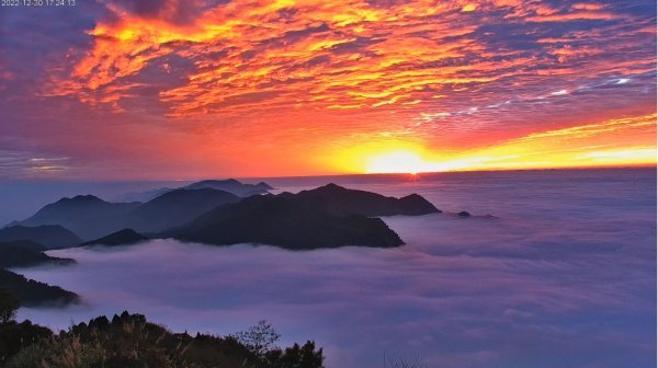 阿里山雲瀑&雲海/富士山直播即時視訊1975849