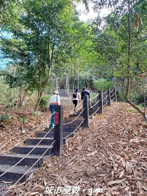 【南投埔里】天旨宮鰲頭山步道x虎頭山鯉魚潭步道x虎頭山觀景平台連走2988483