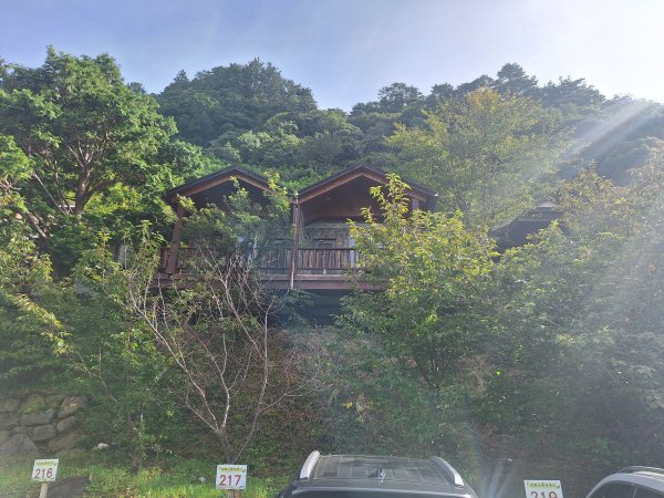 司馬庫斯神木步道順遊司立富瀑布11508023116726