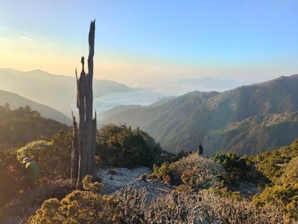 20240320 馬博8天縱走~第五天，馬里亞文路山，馬利加南山2471165