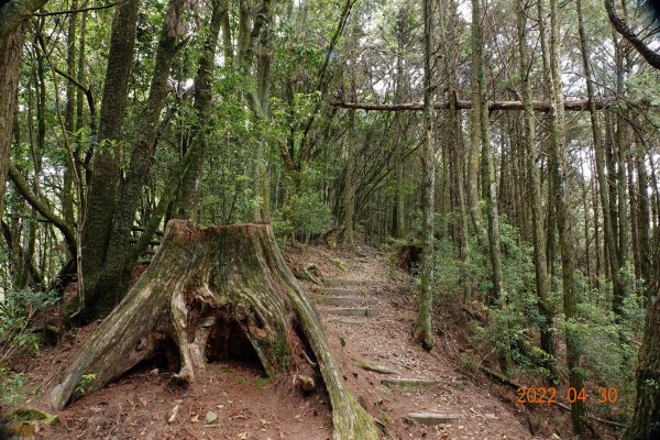 臺中 和平 鞍馬山1697262