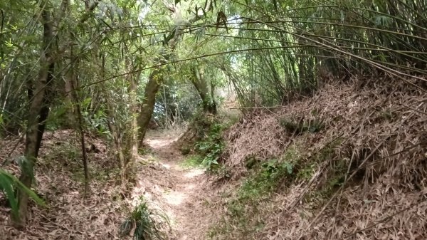 基隆市三角洲嶺山-三角洲嶺北峰-池塘-獅球嶺東砲台山-獅球嶺-獅球嶺北峰-劉銘傳隧道3067308