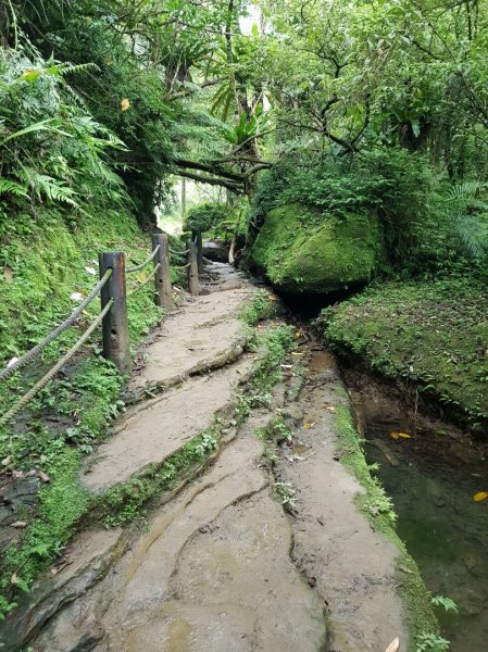 2019.05.16瑞芳三貂嶺瀑布群587164