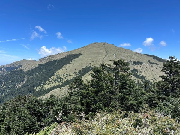 小奇萊步道2777631