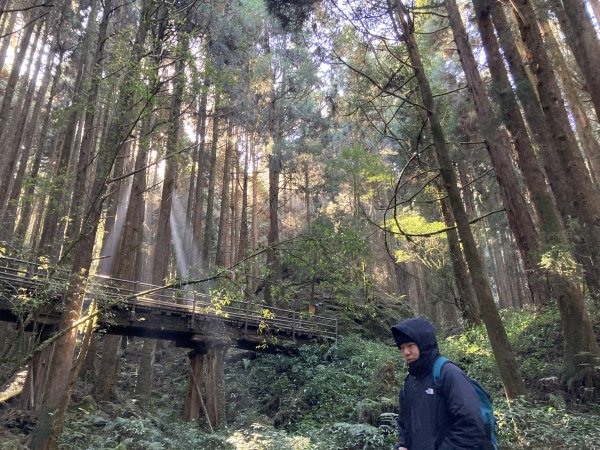 漫步特富野古道1604544