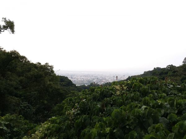 20171119新田登山步道208545