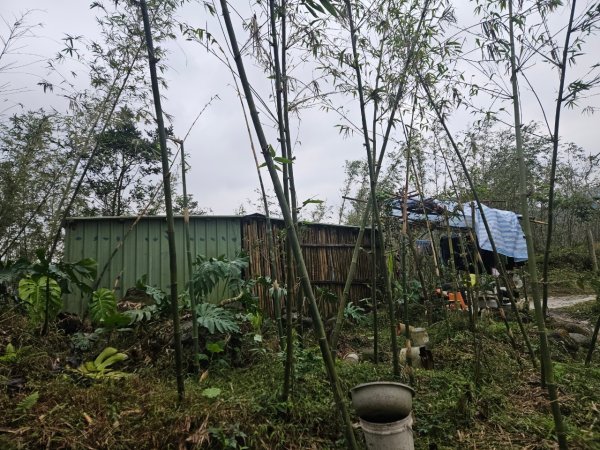 20241222冷飯坑山-楓子林山-烏月山群峰-昇高坑山-竹麻寮山2674707