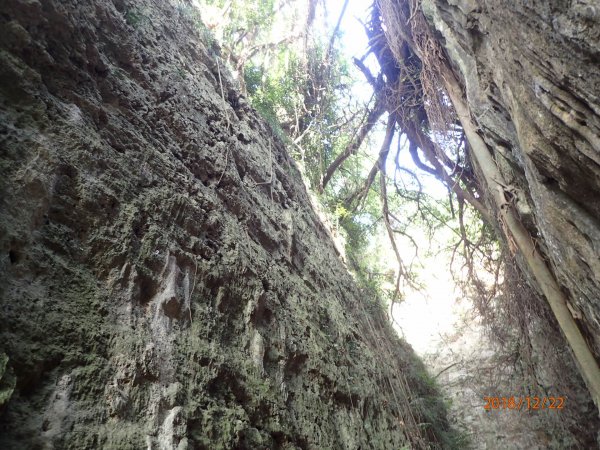 【公告】元旦起 賞遊壽山國家自然公園請注意新規定