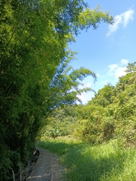 貢寮區文秀坑古道+觀日嶺步道O型2809177