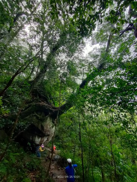 北得拉曼內鳥嘴山1856814