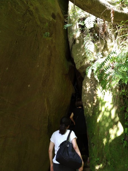 四獸山=象+豹+虎+獅1070460