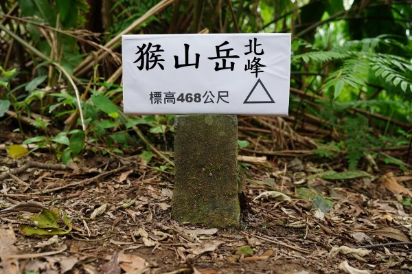臺北 文山 指南山、猴山岳、魚衡山、大前坑山、猴山坑山、祥光寺後山、金頭山2774983