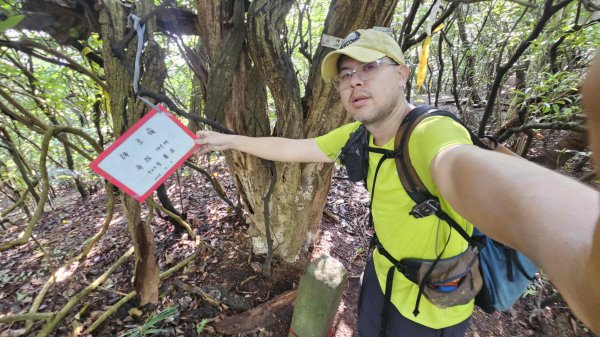 20251210萬里加投山-芎蕉坪古道-北八斗山東南峰-北八斗山-夏綠蒂山-神主嶺-陳明故居2958724
