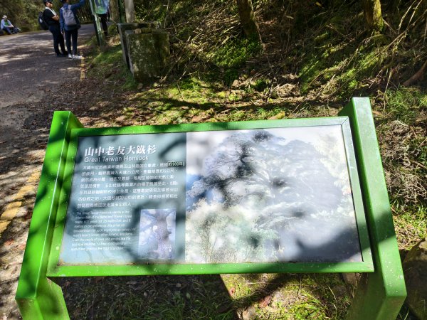 [玉山尋寶任務-09/12] 2025_0928 麟趾山步道2899886